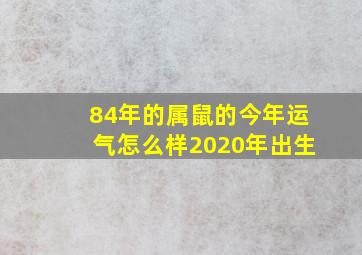 84年的属鼠的今年运气怎么样2020年出生