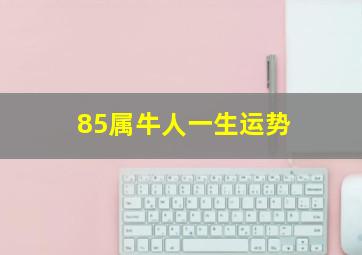 85属牛人一生运势