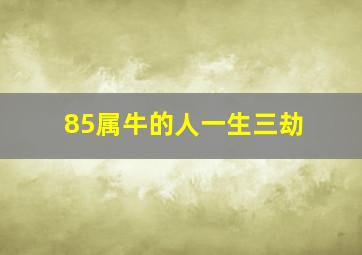 85属牛的人一生三劫