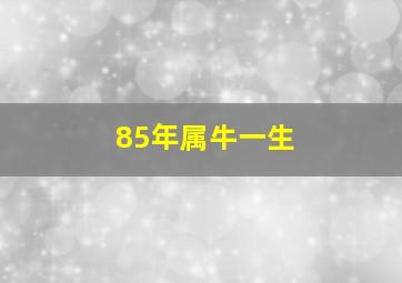 85年属牛一生