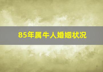 85年属牛人婚姻状况