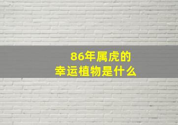 86年属虎的幸运植物是什么