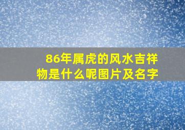 86年属虎的风水吉祥物是什么呢图片及名字