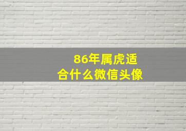 86年属虎适合什么微信头像