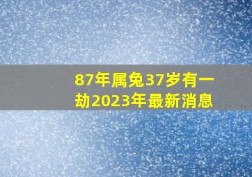 87年属兔37岁有一劫2023年最新消息