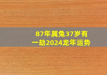 87年属兔37岁有一劫2024龙年运势