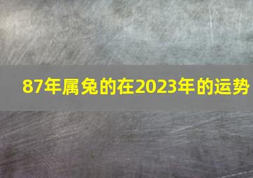 87年属兔的在2023年的运势