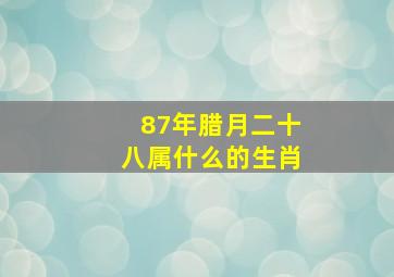 87年腊月二十八属什么的生肖