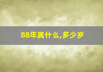 88年属什么,多少岁