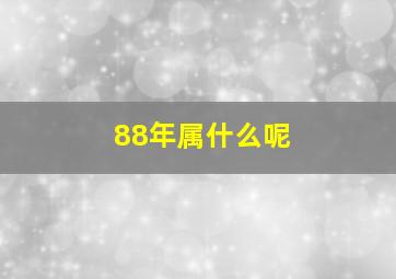 88年属什么呢