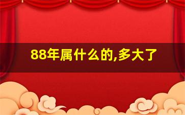 88年属什么的,多大了