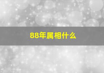 88年属相什么