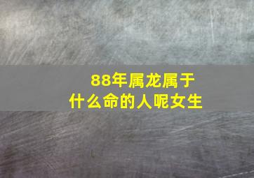 88年属龙属于什么命的人呢女生