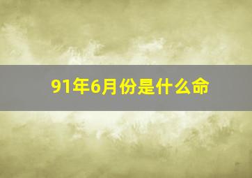 91年6月份是什么命