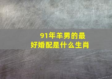 91年羊男的最好婚配是什么生肖