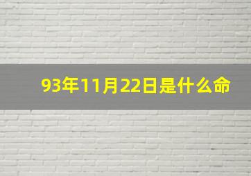 93年11月22日是什么命