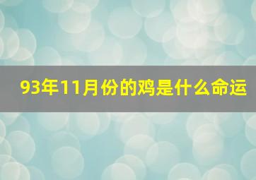 93年11月份的鸡是什么命运