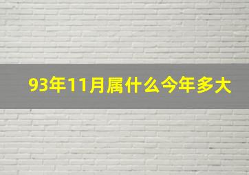 93年11月属什么今年多大