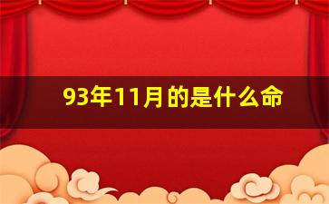 93年11月的是什么命