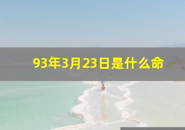 93年3月23日是什么命