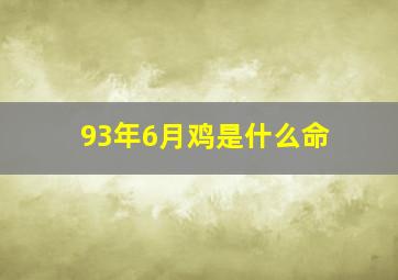 93年6月鸡是什么命