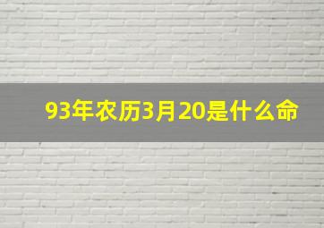 93年农历3月20是什么命