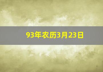 93年农历3月23日