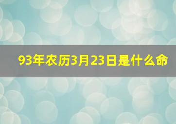 93年农历3月23日是什么命