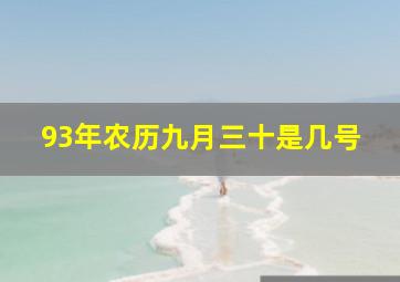 93年农历九月三十是几号