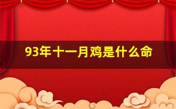 93年十一月鸡是什么命