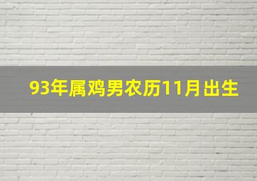 93年属鸡男农历11月出生