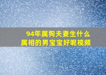 94年属狗夫妻生什么属相的男宝宝好呢视频