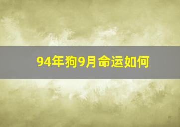 94年狗9月命运如何