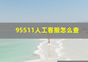 95511人工客服怎么查