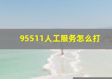 95511人工服务怎么打