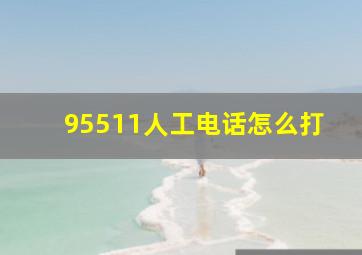 95511人工电话怎么打