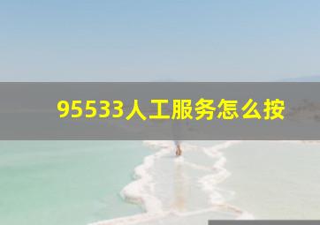 95533人工服务怎么按