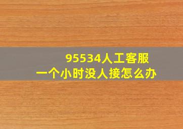 95534人工客服一个小时没人接怎么办