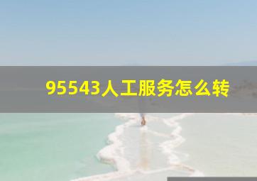 95543人工服务怎么转