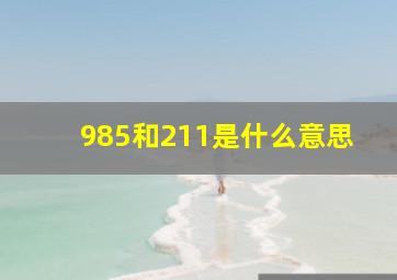 985和211是什么意思