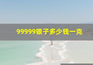 99999银子多少钱一克