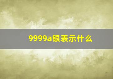 9999a银表示什么