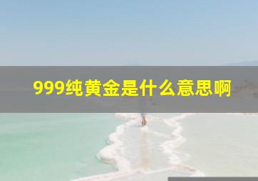 999纯黄金是什么意思啊