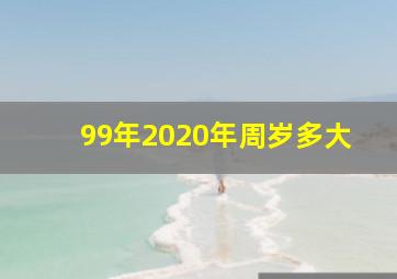 99年2020年周岁多大