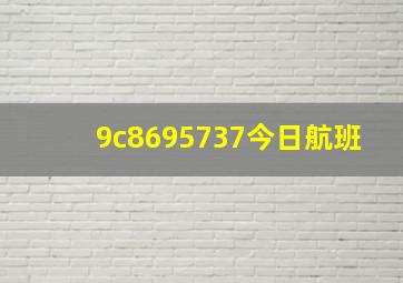 9c8695737今日航班