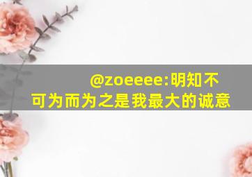 @zoeeee:明知不可为而为之是我最大的诚意