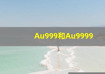 Au999和Au9999