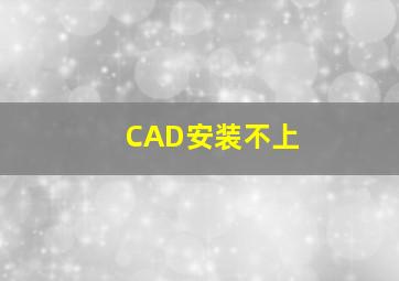 CAD安装不上