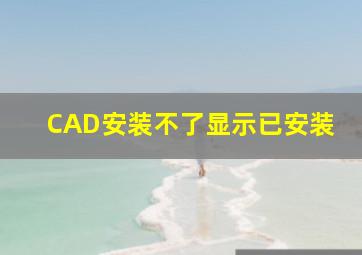 CAD安装不了显示已安装