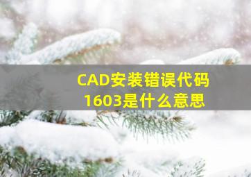 CAD安装错误代码1603是什么意思